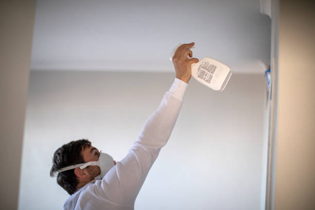 Best Emergency Mold Removal  in Fort Polk North, LA