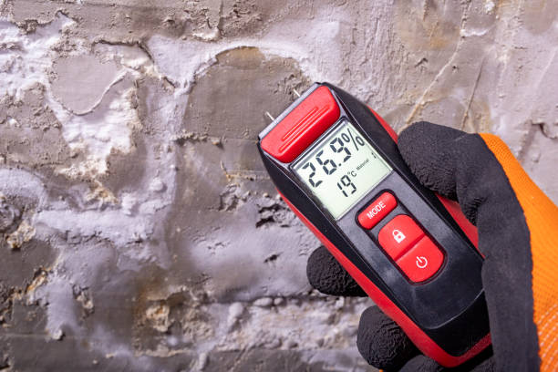 Best Mold Testing  in Fort Polk North, LA