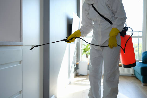 Office Mold Removal Services in Fort Polk North, LA